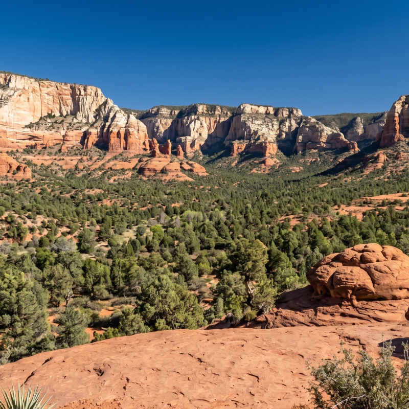 Red jeep parked on rocky terrain with forest and mountains in background.