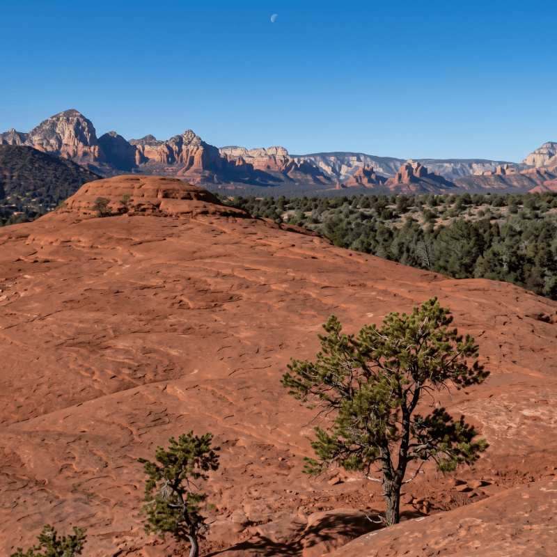 Red rocky landscape with sparse trees and mountains under a clear blue sky.