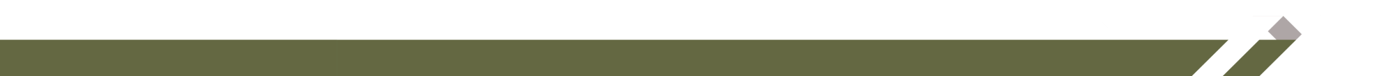 Olive green horizontal line with a gray diamond at the end on a white background.